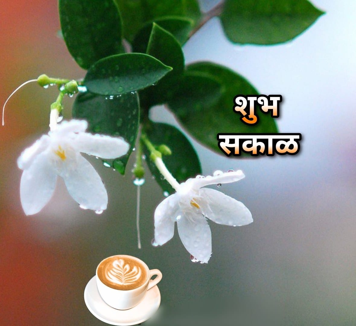 शुभ सकाळ फुलांचे फोटो Shubh Sakal Phulanche Photo (53)