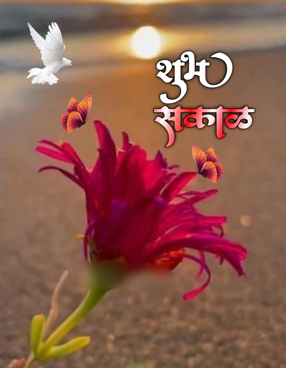 शुभ सकाळ फुलांचे फोटो Shubh Sakal Phulanche Photo (56)