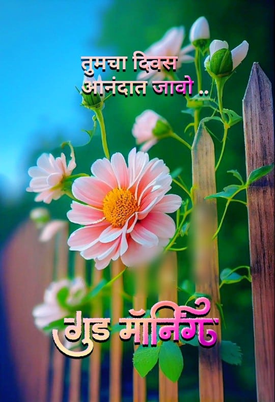 शुभ सकाळ फुले Shubh Sakal Phule (26)