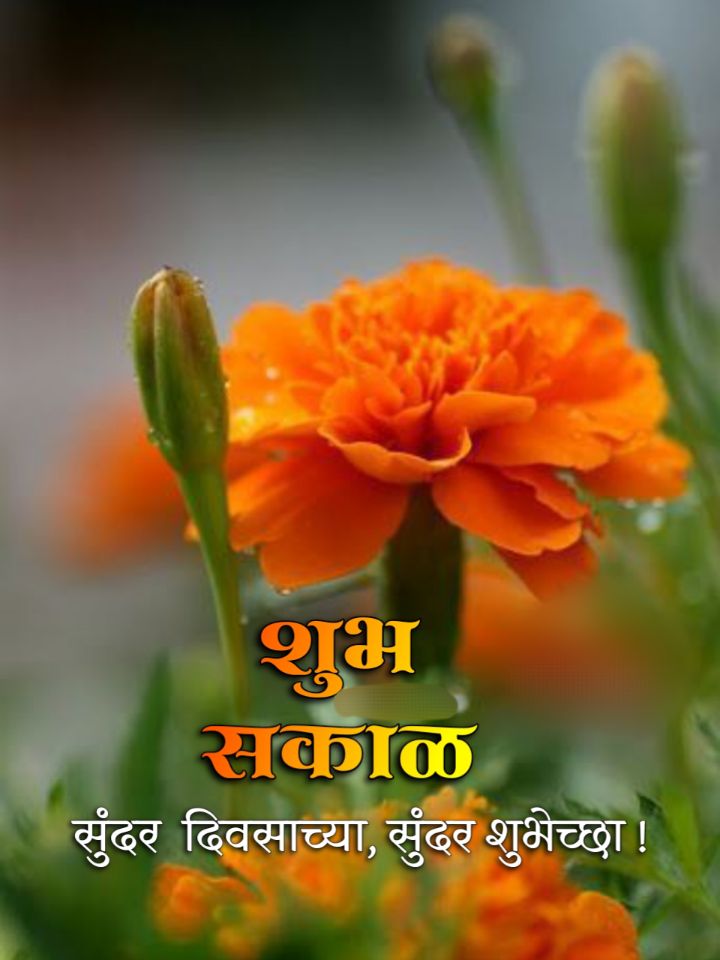 शुभ सकाळ फुले Shubh Sakal Phule (39)