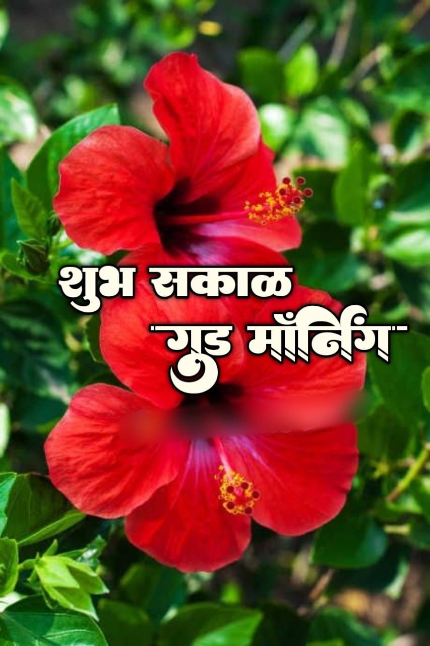 शुभ सकाळ फुले Shubh Sakal Phule (41)