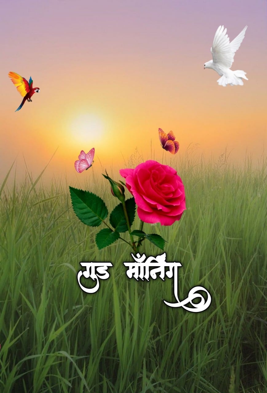 शुभ सकाळ फुले Shubh Sakal Phule (44)