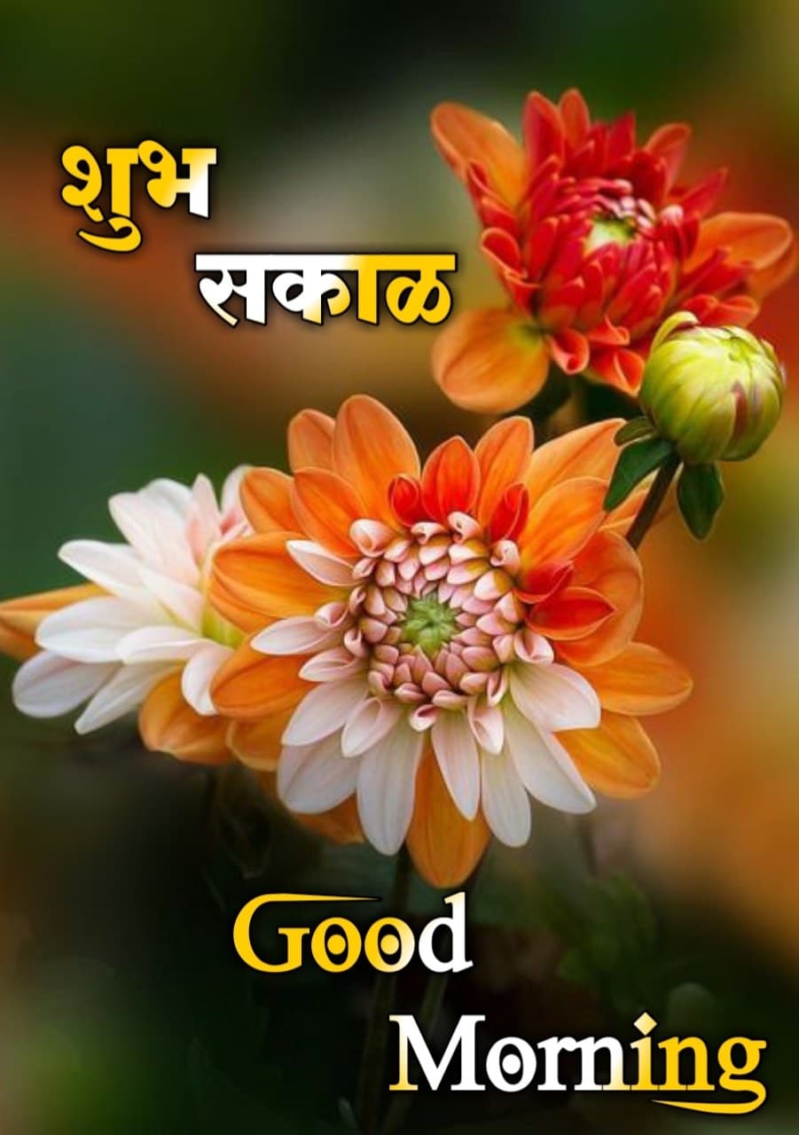 शुभ सकाळ फुले Shubh Sakal Phule (45)