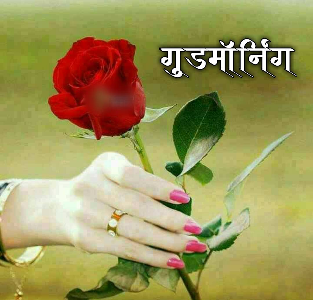 शुभ सकाळ फुले Shubh Sakal Phule (5)
