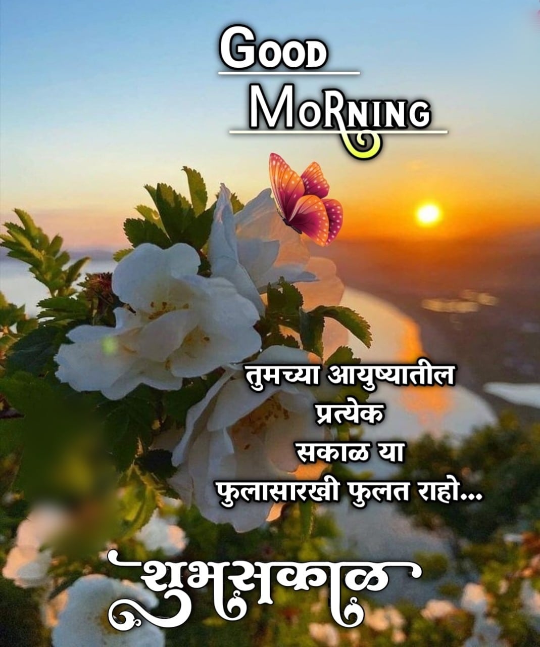 शुभ सकाळ फुले Shubh Sakal Phule (54)