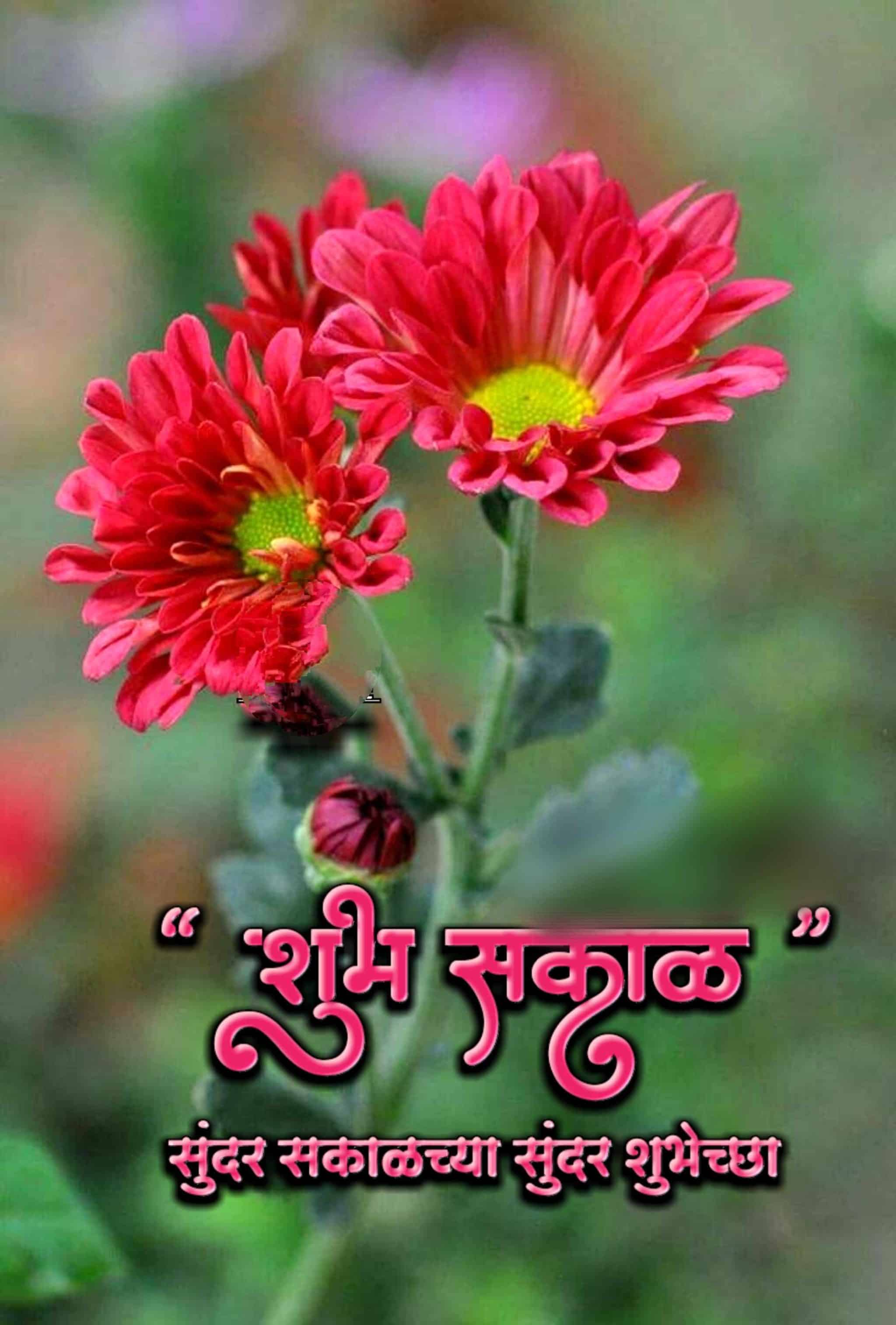 शुभ सकाळ फुले Shubh Sakal Phule (61)