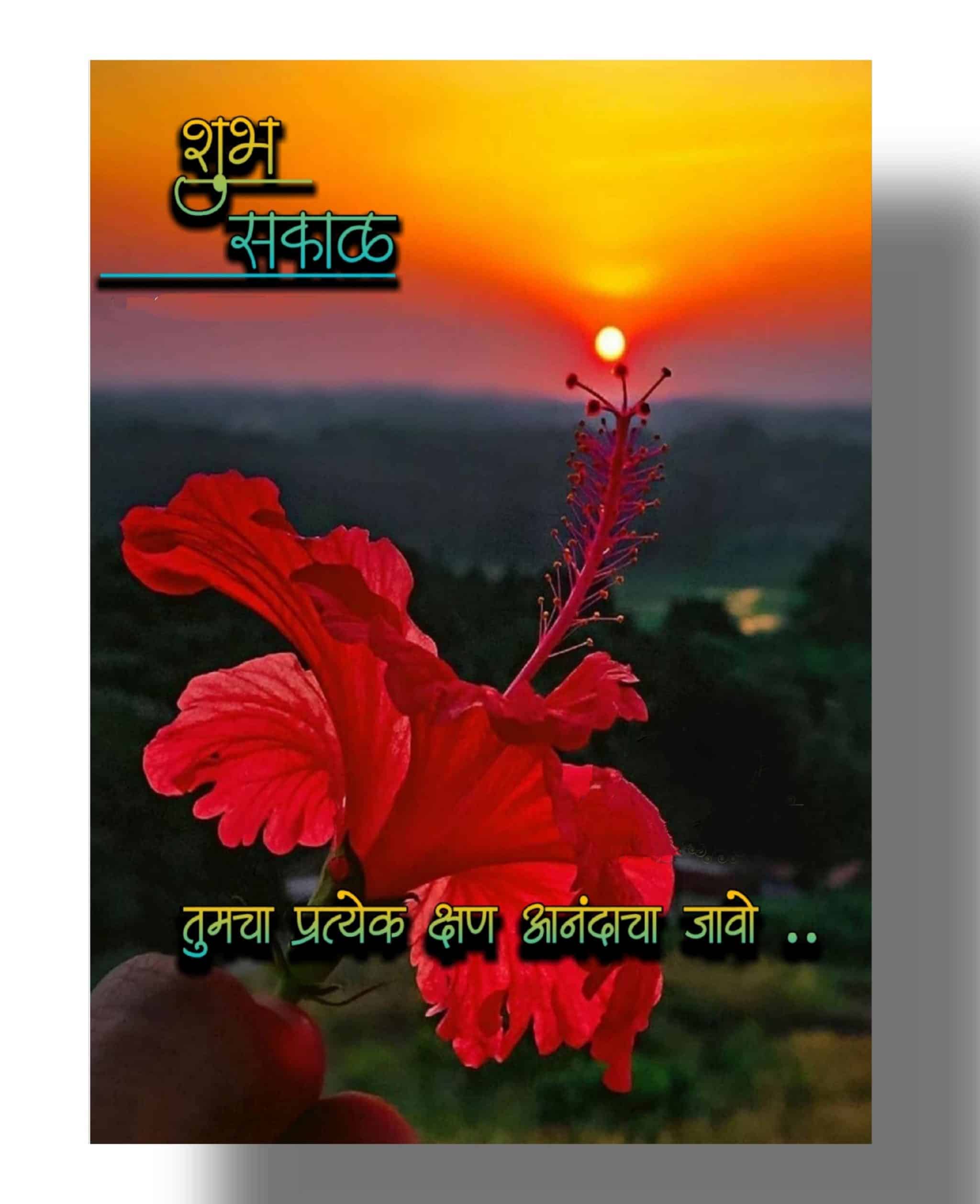 शुभ सकाळ फुले Shubh Sakal Phule (63)