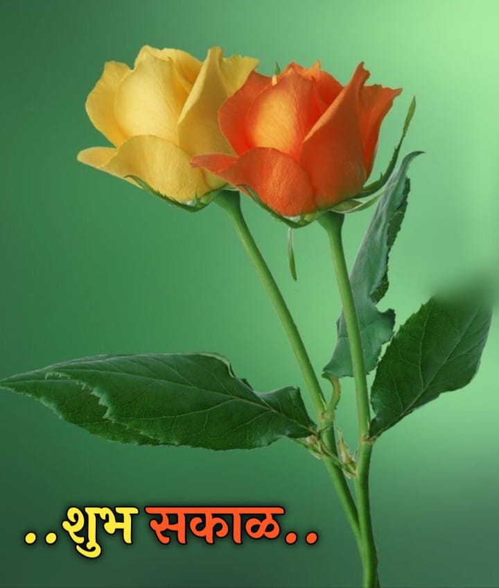 शुभ सकाळ फुले Shubh Sakal Phule (77)