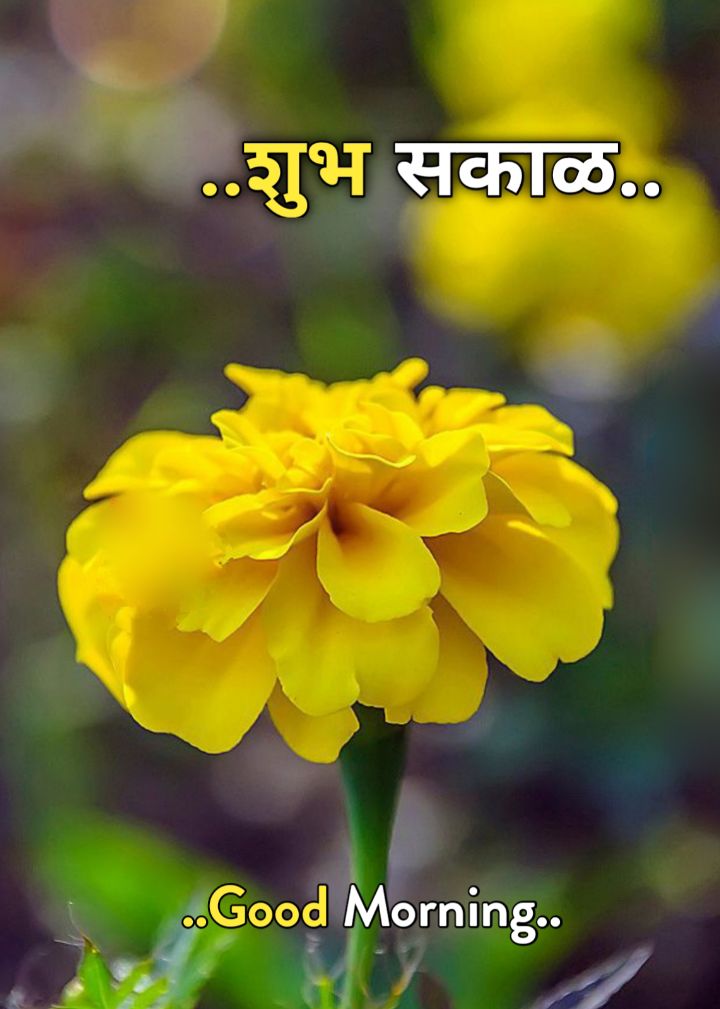 शुभ सकाळ फुले Shubh Sakal Phule (88)