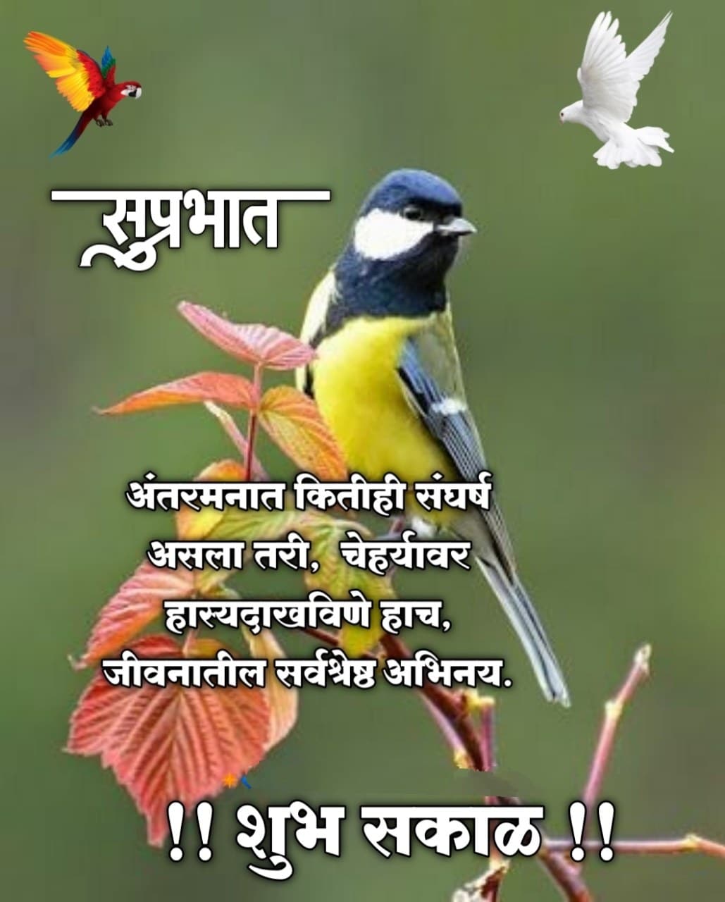 Good Morning Attitude Quotes in Marathi (12)