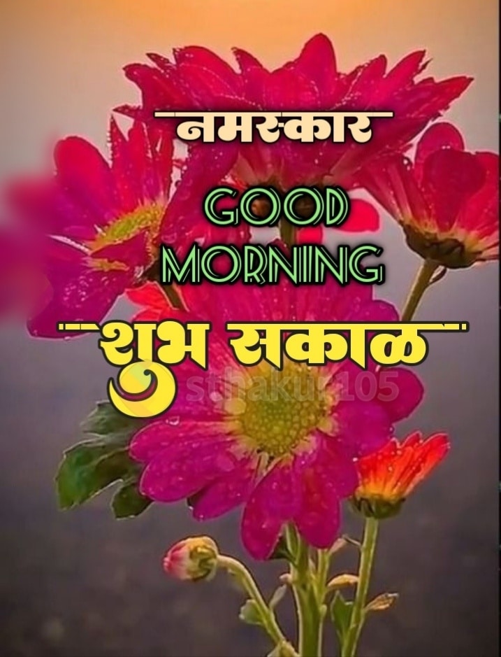 Shubh Sakal Flower Images (16)