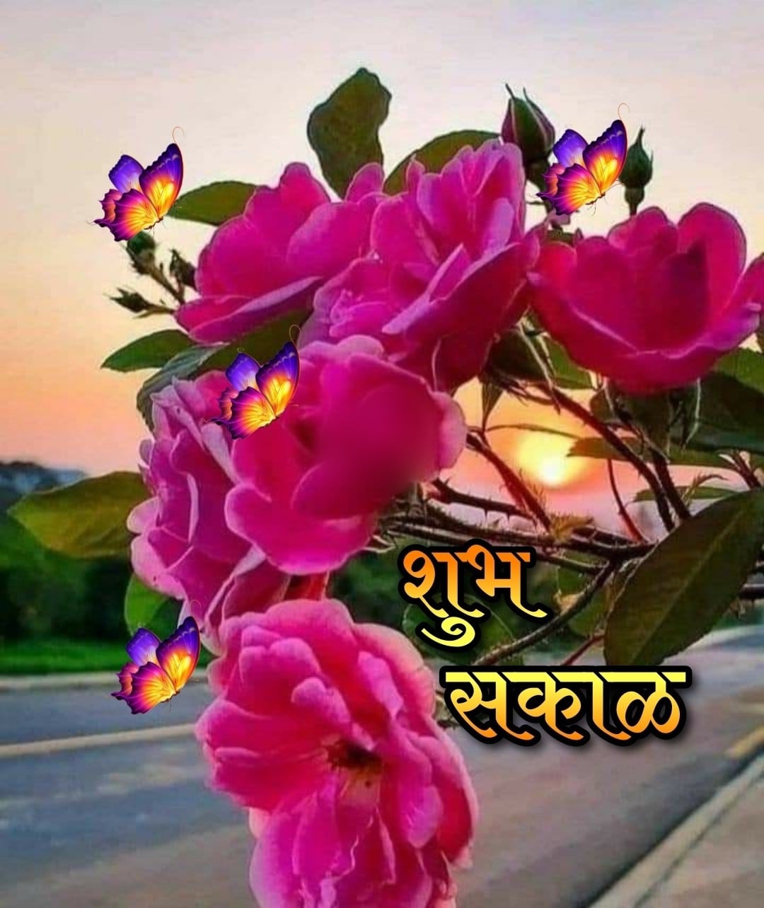 Shubh Sakal Flower Images (21)