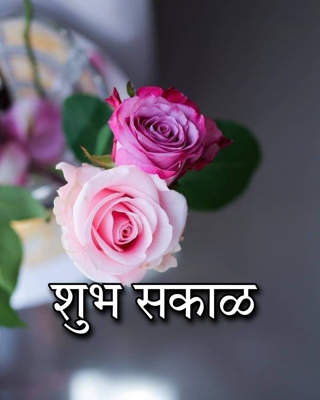 शुभ सकाळ फुलांचे फोटो Shubh Sakal Phulanche Photo (60)