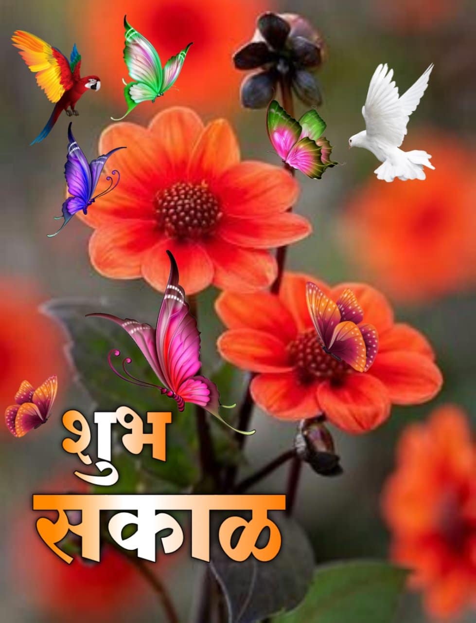 शुभ सकाळ फुलांचे फोटो Shubh Sakal Phulanche Photo (67)