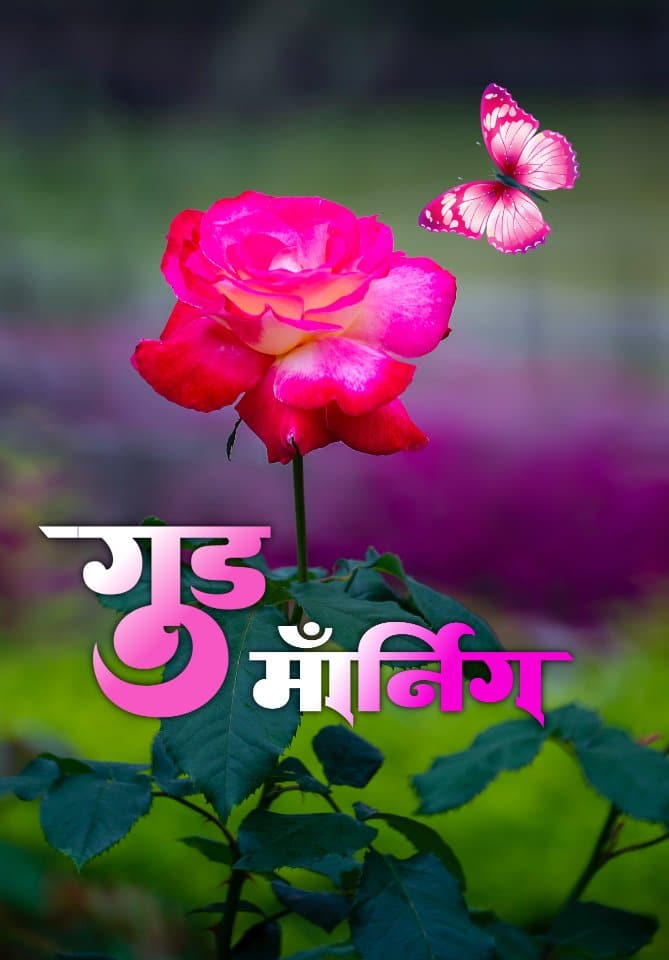 शुभ सकाळ फुले Shubh Sakal Phule (29)