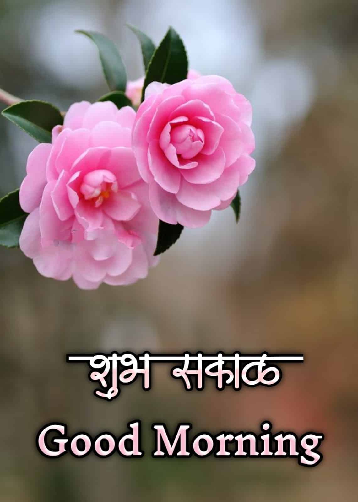शुभ सकाळ फुले Shubh Sakal Phule (48)