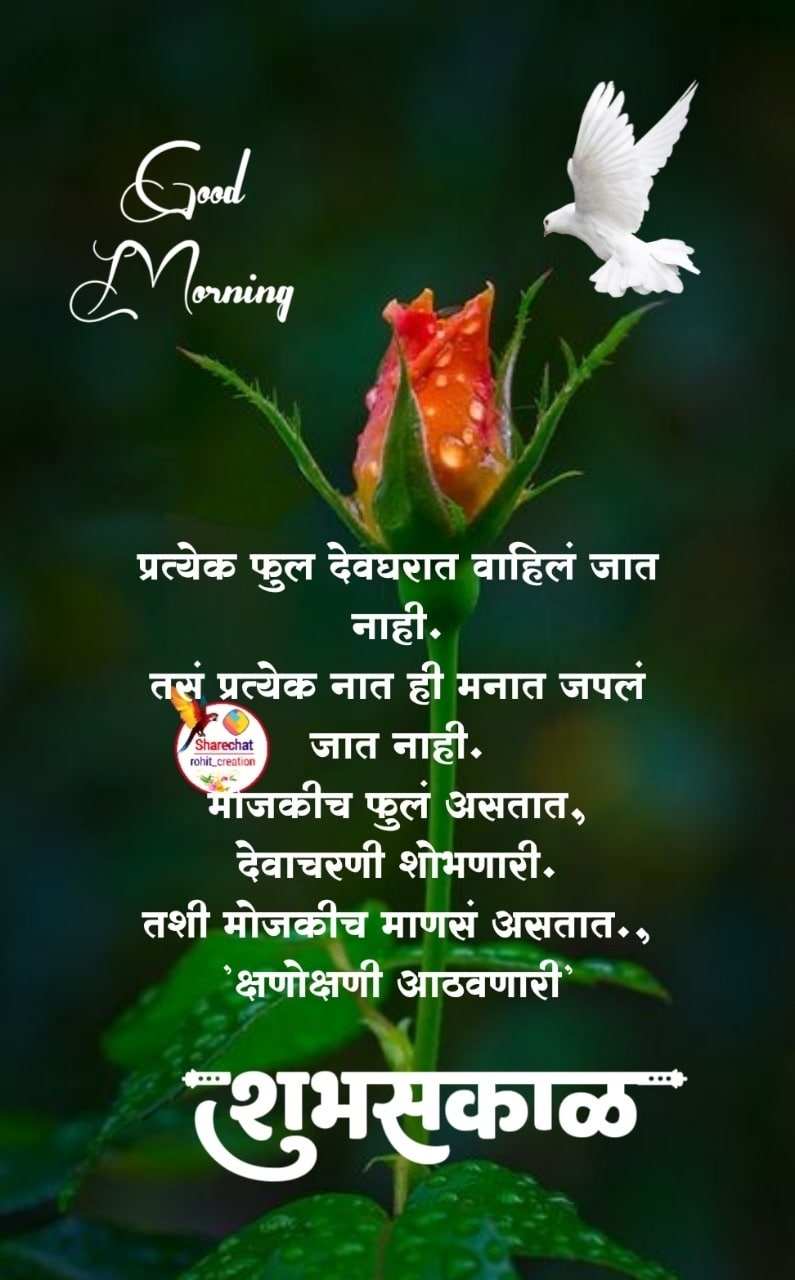 शुभ सकाळ फुले Shubh Sakal Phule (52)