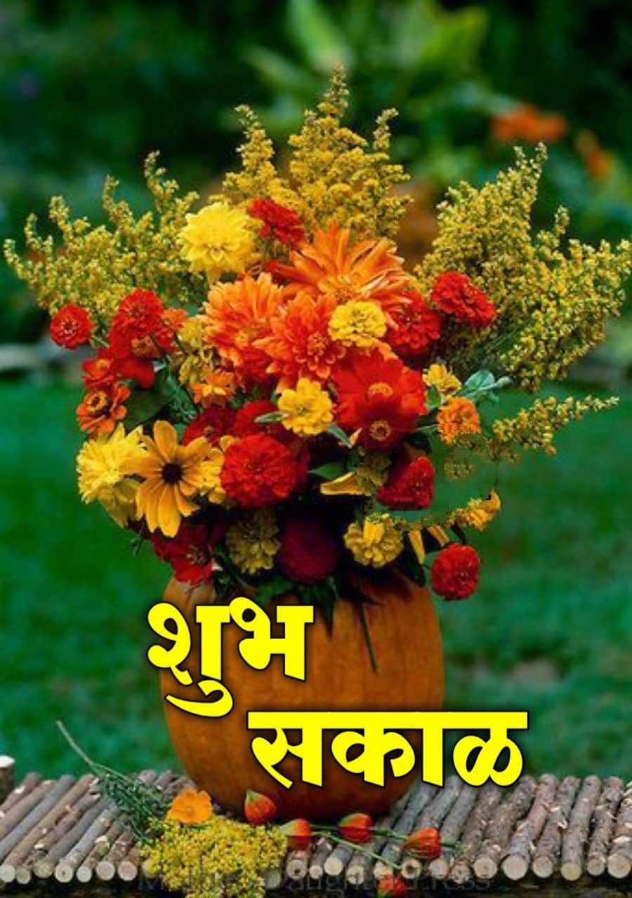 शुभ सकाळ फुले Shubh Sakal Phule (78)