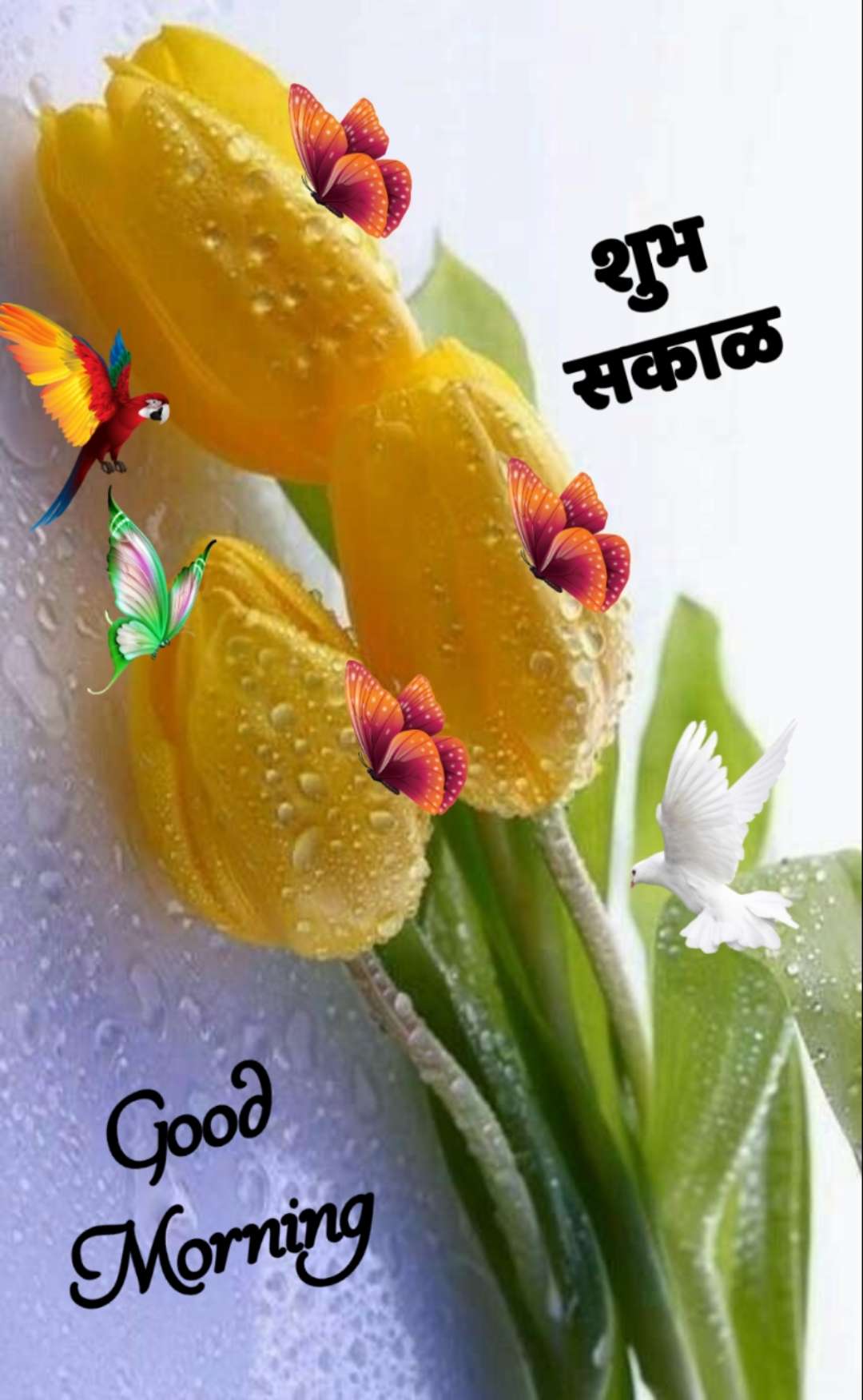 शुभ सकाळ फुले Shubh Sakal Phule (80)