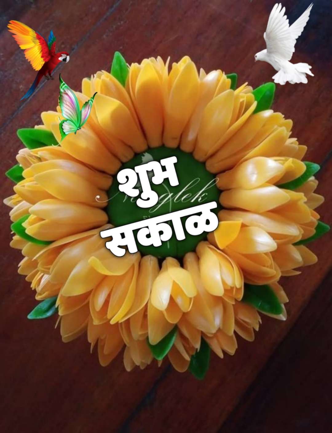 शुभ सकाळ फुले Shubh Sakal Phule (82)